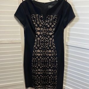 Dressbarn dress for all occasions